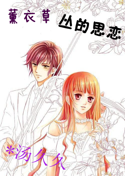 薰衣草从的思恋