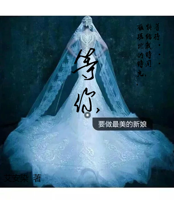 艾安染的官方网站-华夏天空小说网